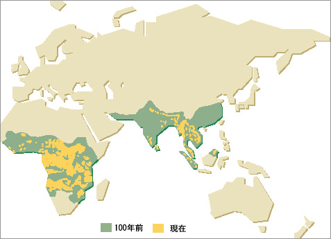 100年前の分布と現在