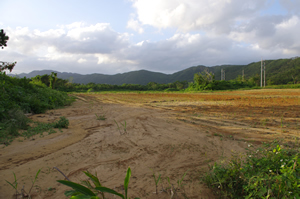  内陸から海岸線まで続いていた森林帯が切り開かれてしまった跡（西表島南岸） 