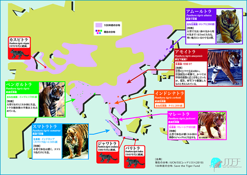 トラの分布図