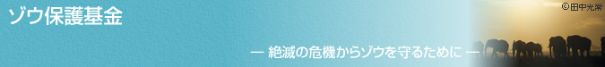 トラ保護基金　―絶滅の危機からトラを守るために―
