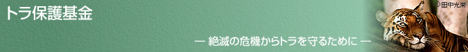 トラ保護基金　―絶滅の危機からトラを守るために―