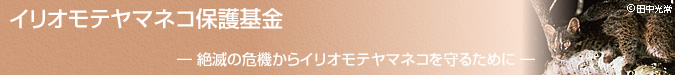 イリオモテヤマネコ保護基金　―絶滅の危機からイリオモテヤマネコを守るために―