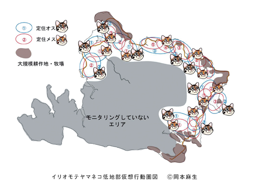 ヤマネコ行動圏図