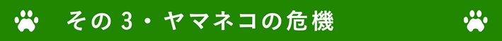 ヤマネコの危機