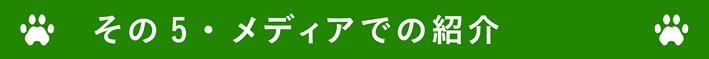 JTEF-メディアでの紹介